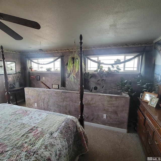 carpeted bedroom with a textured ceiling and multiple windows