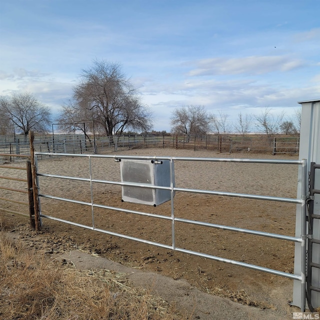 view of yard featuring a rural view