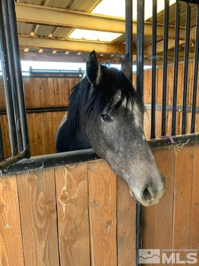 view of horse barn