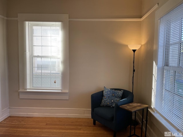 sitting room with wood-type flooring