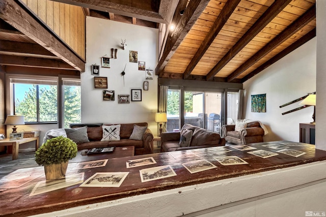 living room featuring lofted ceiling with beams, a healthy amount of sunlight, and wood ceiling