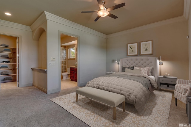 carpeted bedroom featuring a spacious closet, a closet, ceiling fan, and ornamental molding