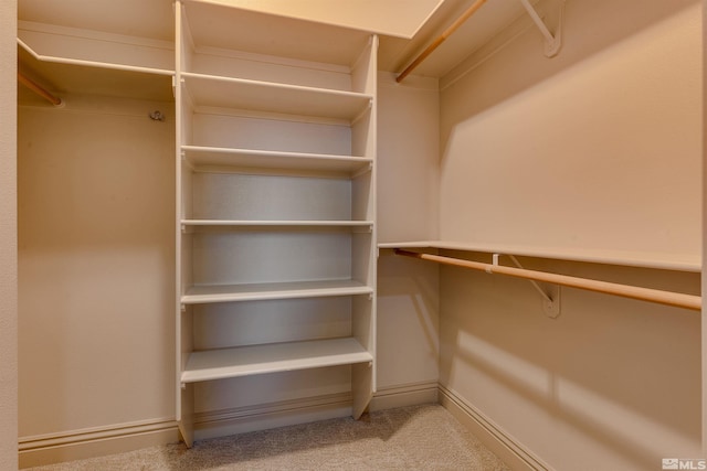 spacious closet with carpet