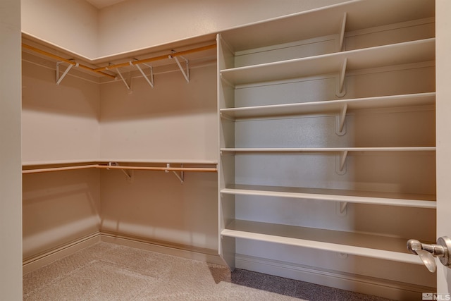 spacious closet featuring carpet floors