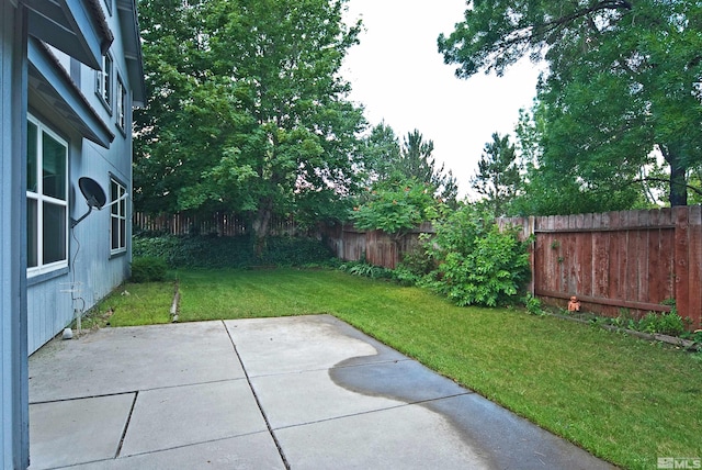 view of yard featuring a patio area