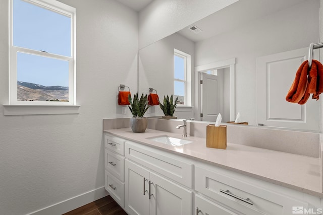 bathroom with hardwood / wood-style floors and vanity