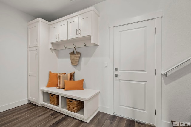 mudroom featuring dark wood-type flooring