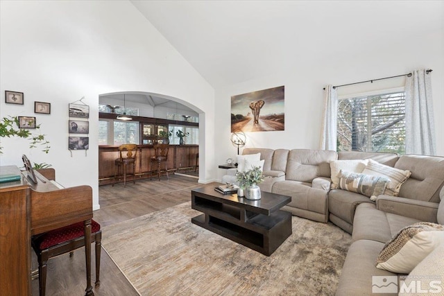 living room featuring a wealth of natural light, high vaulted ceiling, and wood-type flooring