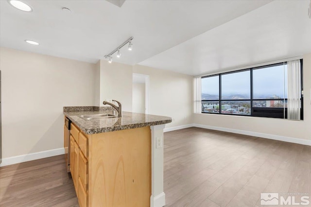 kitchen with sink, rail lighting, light hardwood / wood-style floors, and stainless steel dishwasher