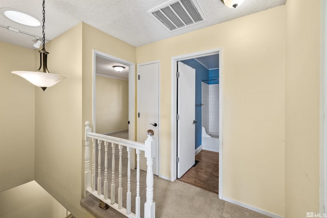 hallway with carpet floors and a textured ceiling