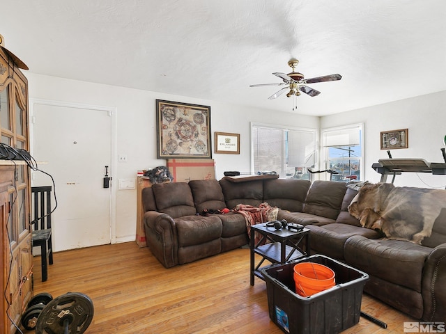 living room with ceiling fan and light hardwood / wood-style floors