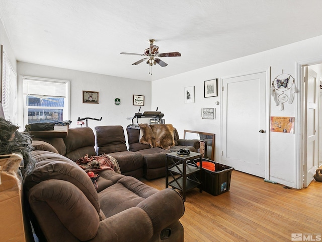 living room with light wood-type flooring and ceiling fan