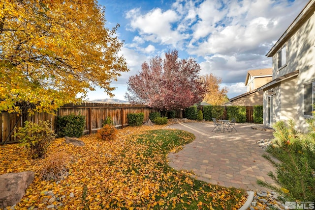 view of yard with a patio