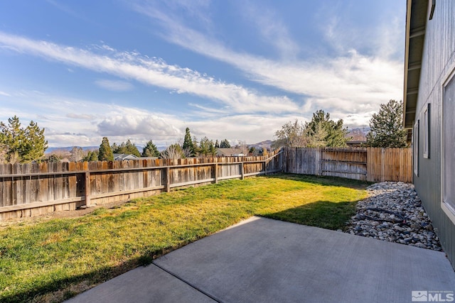 view of yard with a patio