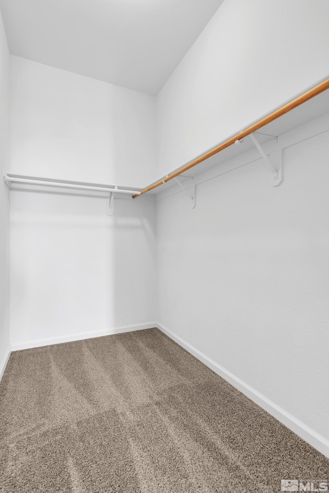 spacious closet with carpet floors