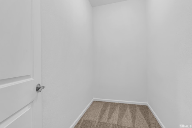 walk in closet featuring carpet flooring