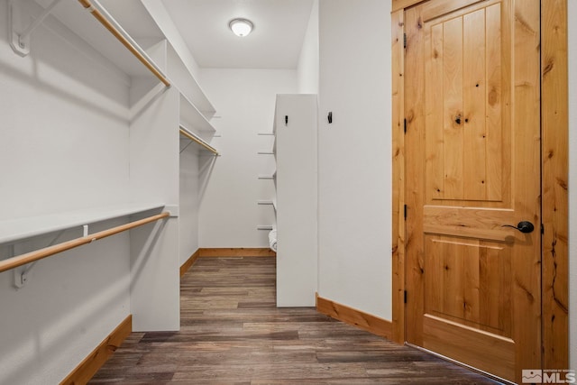 spacious closet with dark wood-type flooring