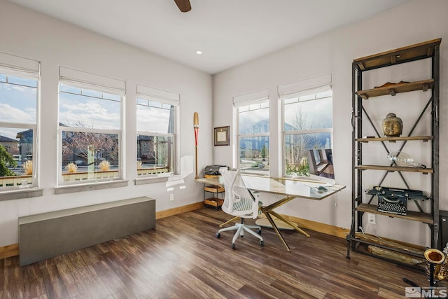 office space with plenty of natural light, dark hardwood / wood-style floors, and ceiling fan