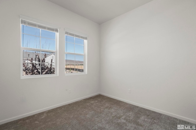 unfurnished room with carpet