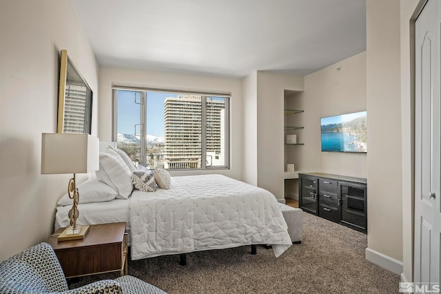 carpeted bedroom featuring a closet