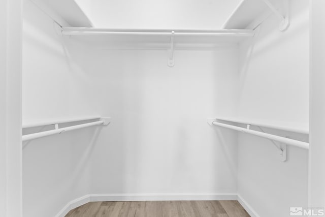 spacious closet with wood-type flooring