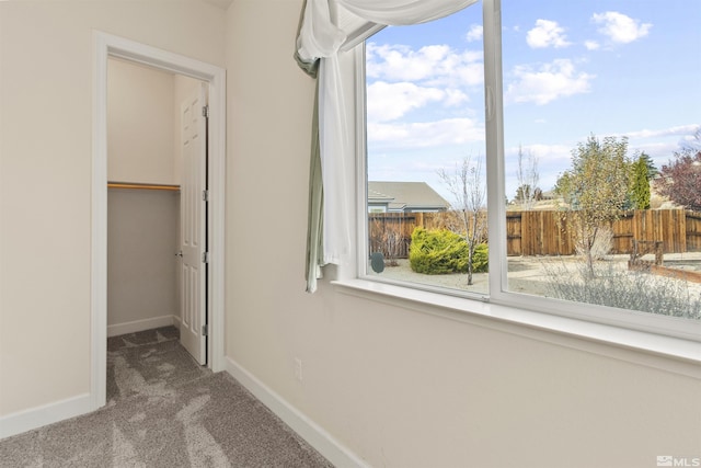 interior space featuring a walk in closet and carpet floors