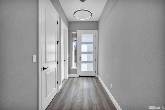 doorway with wood-type flooring