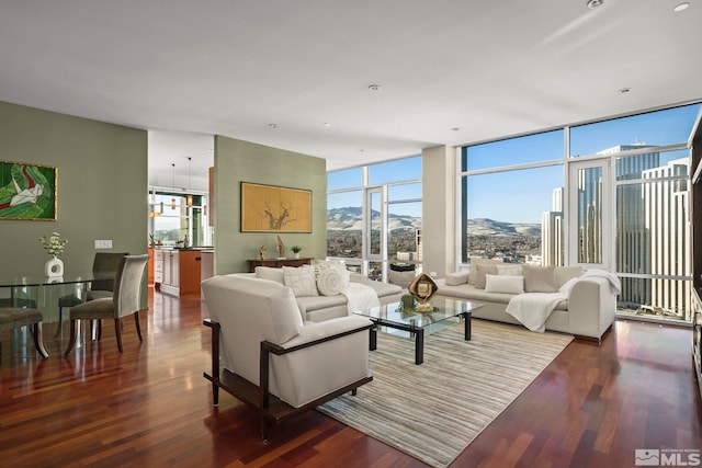 living room with a mountain view, hardwood / wood-style flooring, and expansive windows