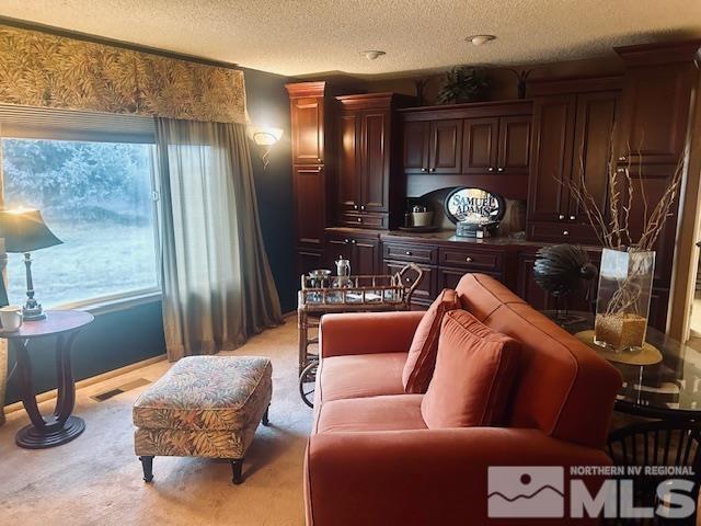 living room featuring light carpet, a textured ceiling, and plenty of natural light