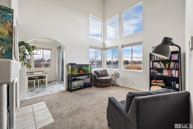 living room with carpet flooring and a high ceiling