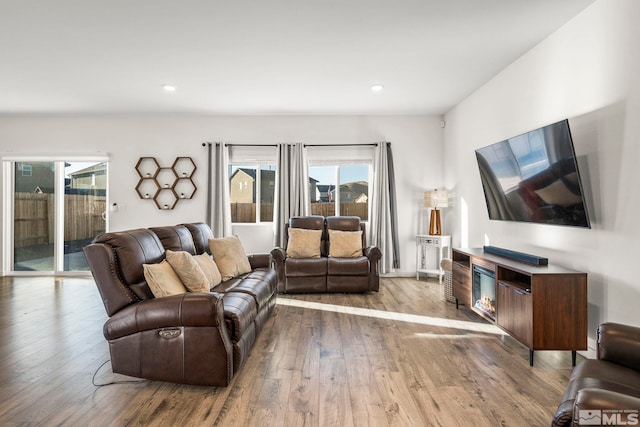 living room with light hardwood / wood-style flooring