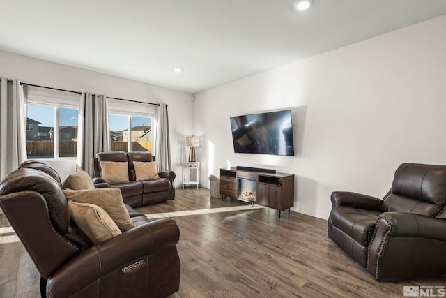 living room featuring dark hardwood / wood-style floors