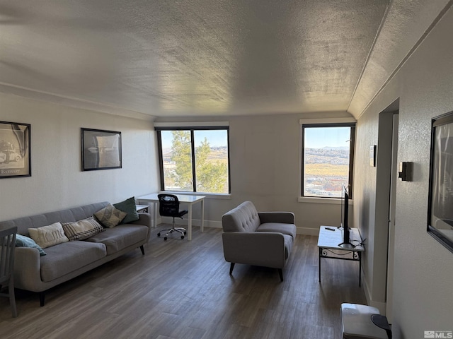 living room with vaulted ceiling, wood-type flooring, and a textured ceiling