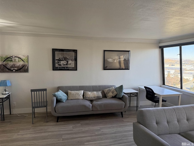 living room featuring wood-type flooring and a textured ceiling