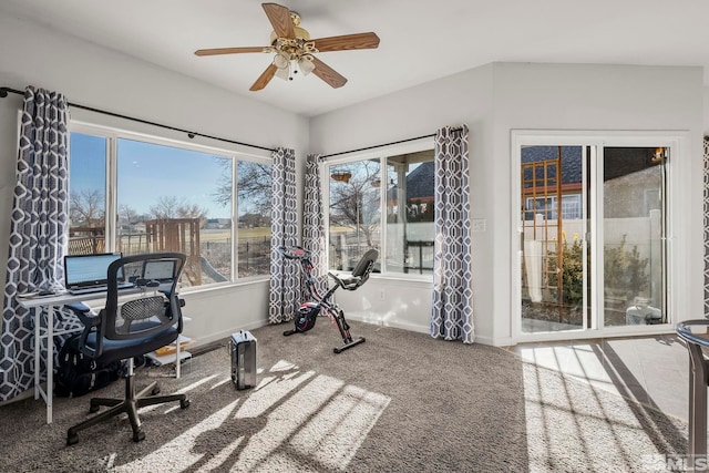 exercise area with carpet, a wealth of natural light, and ceiling fan