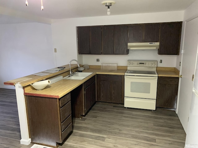 kitchen featuring kitchen peninsula, dark brown cabinetry, sink, wood-type flooring, and white electric range