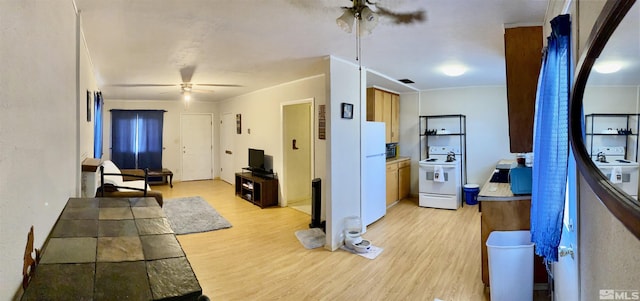 living room featuring washer / clothes dryer, ceiling fan, and light hardwood / wood-style floors