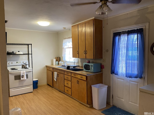 kitchen featuring sink, white electric stove, light hardwood / wood-style flooring, ceiling fan, and ornamental molding