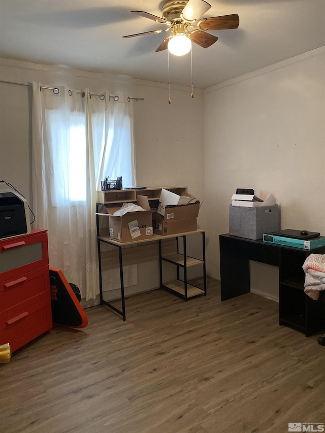 office with ceiling fan, hardwood / wood-style floors, and ornamental molding