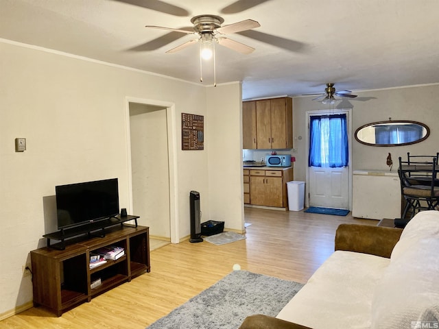 living room featuring crown molding and light hardwood / wood-style flooring