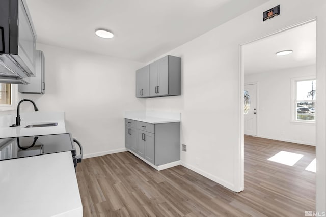 kitchen with gray cabinetry, light wood-type flooring, and sink