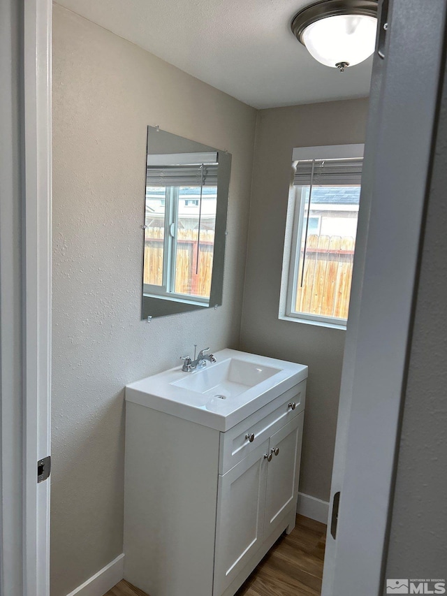 bathroom with vanity and wood-type flooring