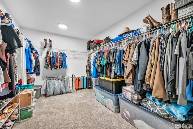 spacious closet featuring carpet floors