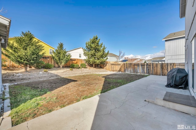 view of yard featuring a patio area