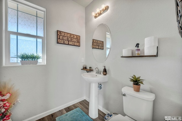 bathroom featuring wood-type flooring and toilet