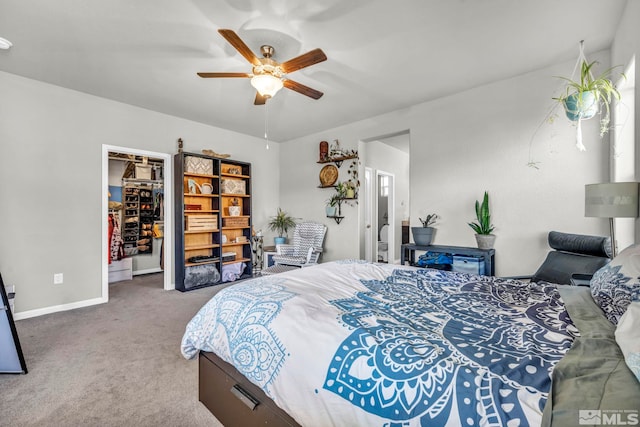 bedroom featuring a walk in closet, ceiling fan, a closet, and carpet