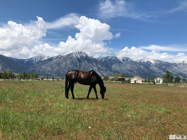 property view of mountains with a rural view