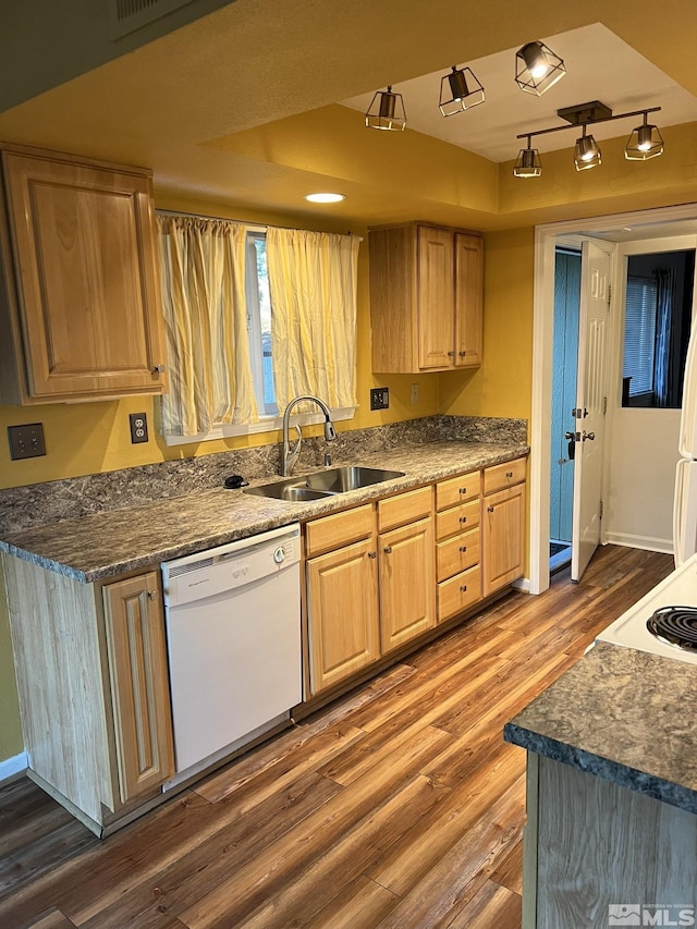 kitchen featuring dark hardwood / wood-style flooring, sink, white dishwasher, and rail lighting