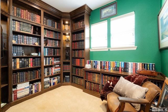 sitting room featuring carpet floors