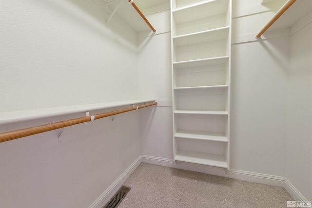 spacious closet with light carpet